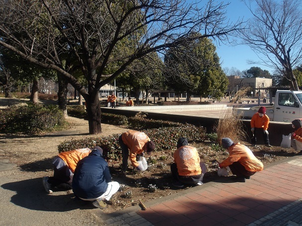 城址公園花壇・プランターの除草と花がら摘みを行いました