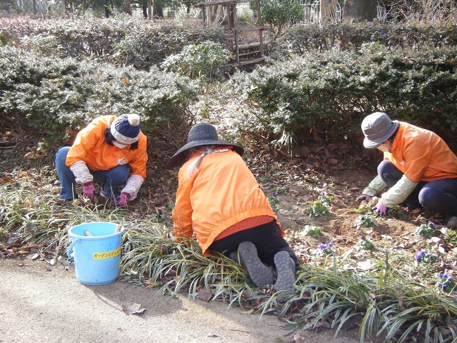 王国通り整備活動