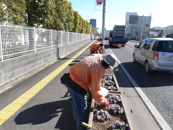 国道17号沿いプランターの除草と花がら摘みを行いました。