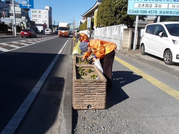 国道17号沿いのプランターの除草と花がら摘みを行いました。