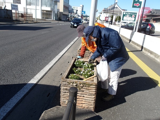 国道17号沿いプランターの除草と花がら摘みを行いました。