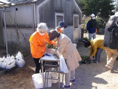 王国ボランティアによる花苗・寄せ植え販売