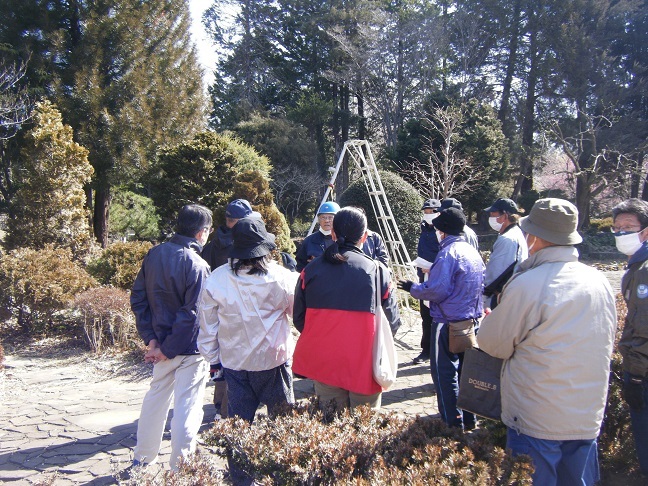 植木の剪定教室