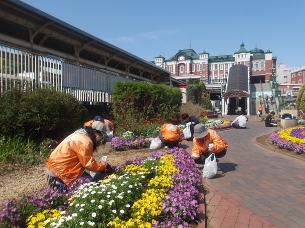 ステイションガーデンの除草と花がら摘みを行いました。