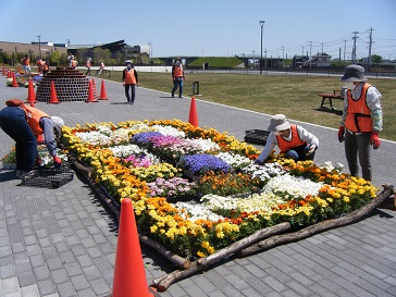 フラワーロード花の配置作業