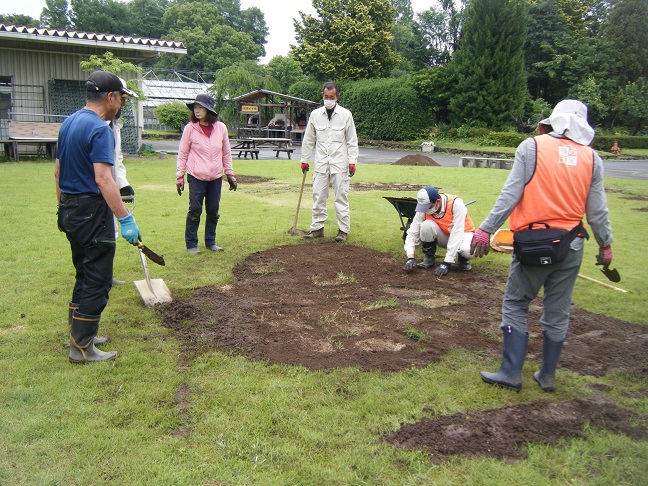 王国ひろばの芝生張り替え