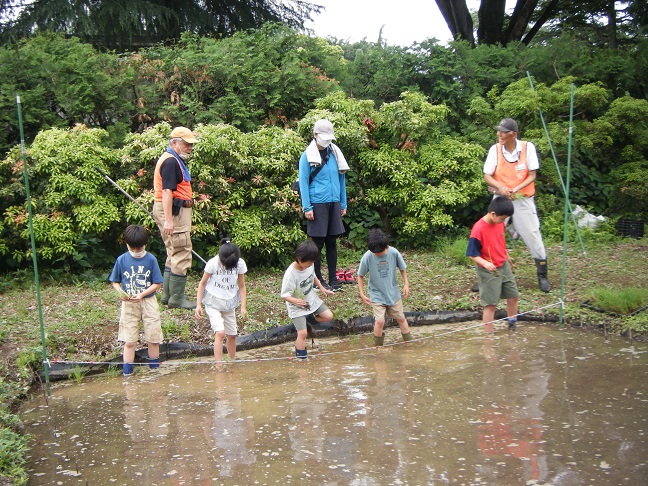 田植え体験