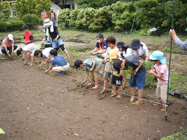 田植え体験