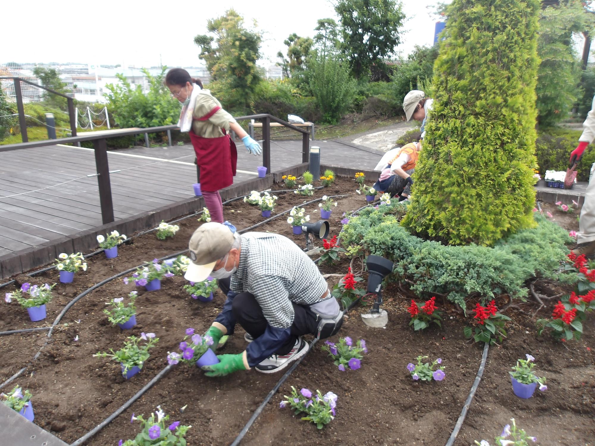 天空の散歩道植栽活動