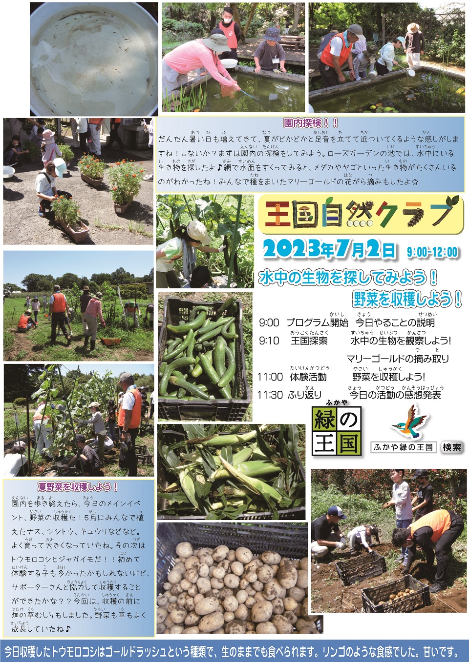 王国自然クラブ第4回活動報告