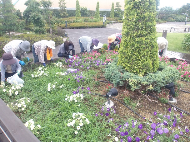 天空の散歩道除草活動