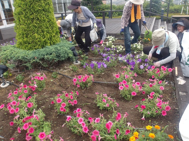 天空の散歩道除草活動