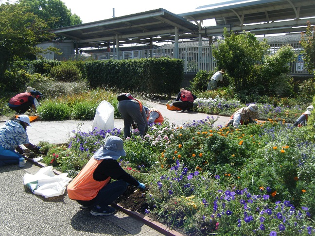 ステイションガーデン除草活動