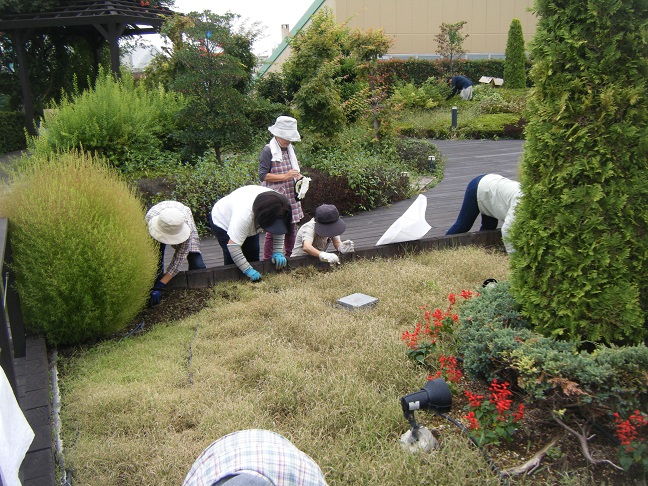 天空の散歩道除草活動