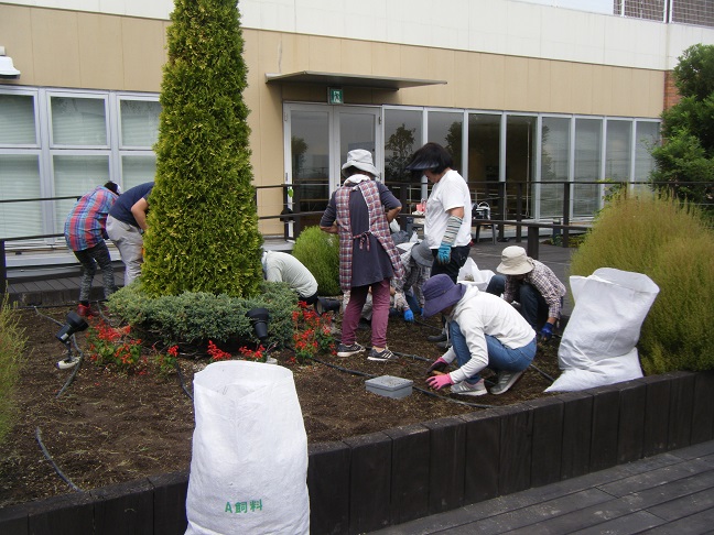 天空の散歩道除草活動