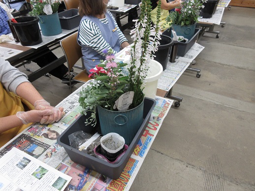 秋の草花を使った長く楽しめる寄せ植え教室