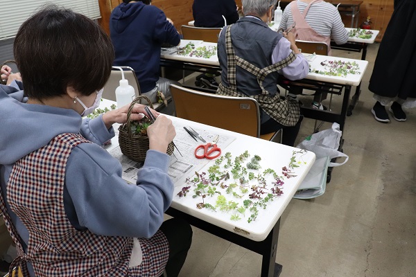 多肉植物の寄せ植え教室