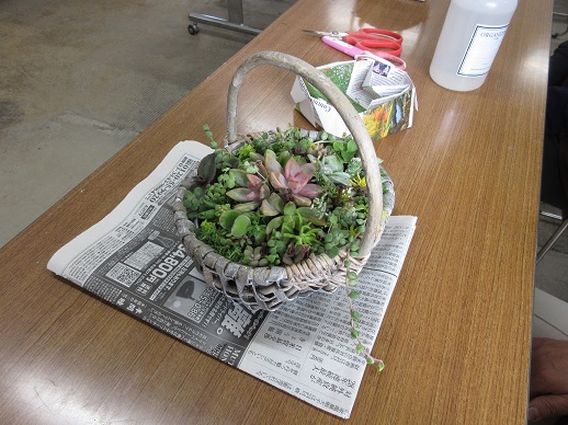 多肉植物の寄せ植え教室