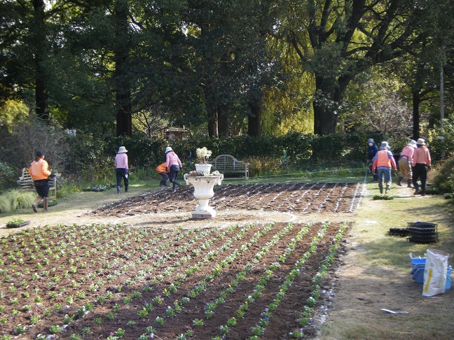 フローラガーデン植栽