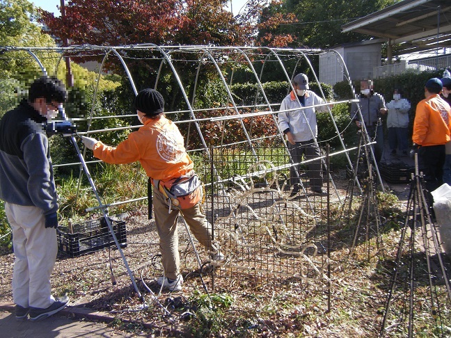 イルミネーション設置