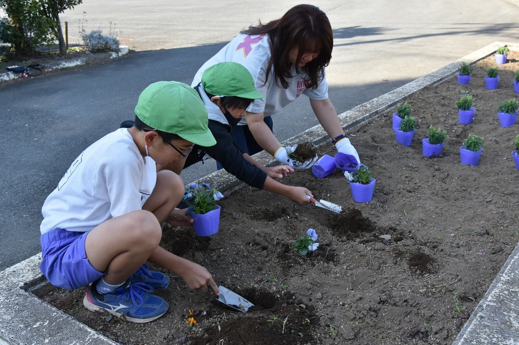 藤沢小学校