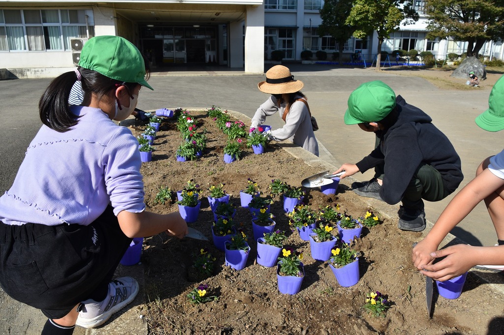 藤沢小学校