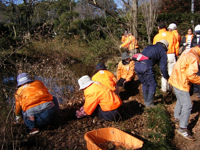 山野草ガーデン整備