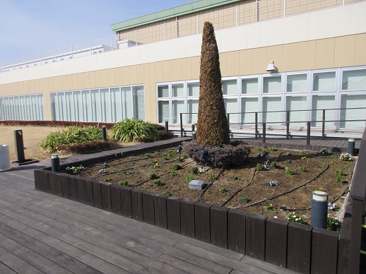 天空の散歩道除草活動