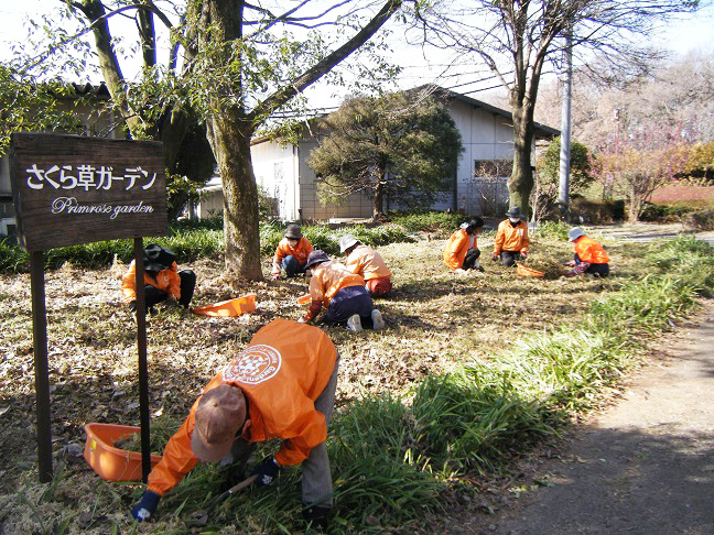 さくら草ガーデン整備作業