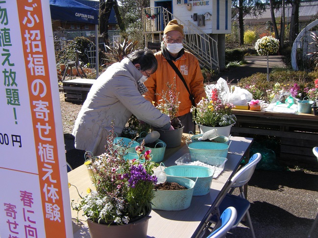 春に向けた草花の寄せ植えをしよう