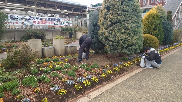 ステイションガーデン除草活動