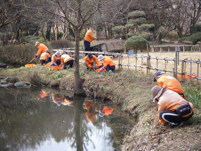 ハナミズキ通り池の周囲の除草