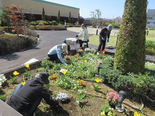 天空の散歩道除草活動