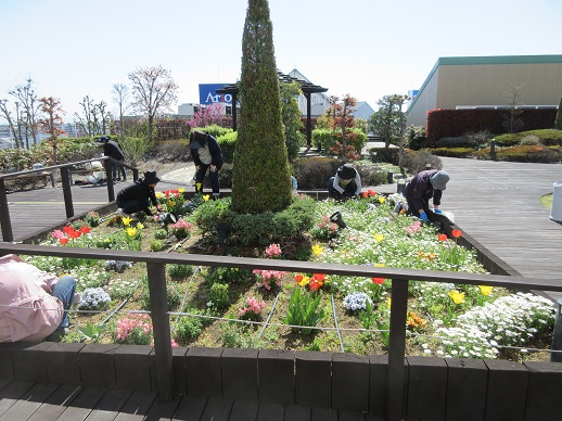 天空の散歩道除草活動