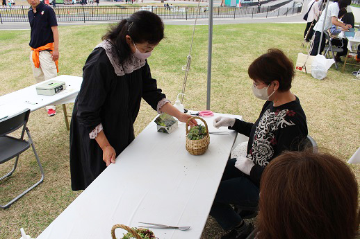 多肉植物の寄せ植え教室