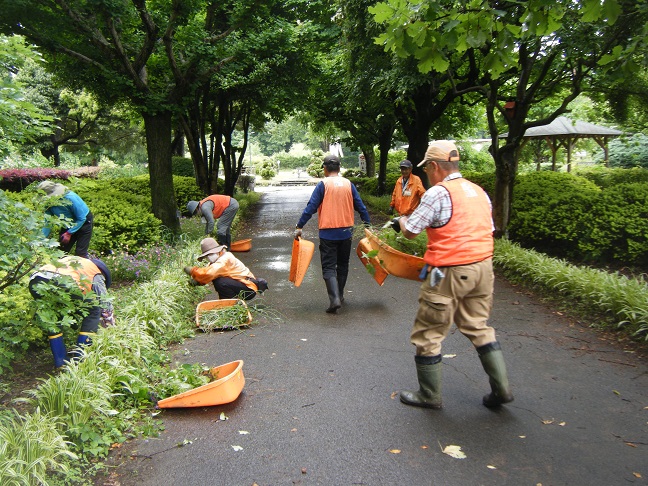 王国通りビオラ抜根