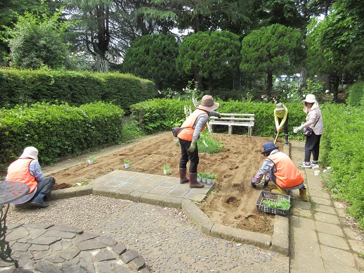 サンクンガーデン植栽
