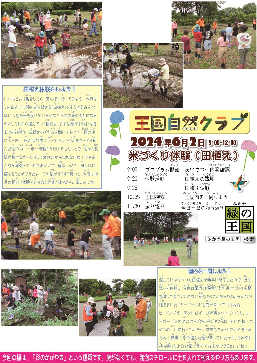 第2回王国自然クラブ活動報告