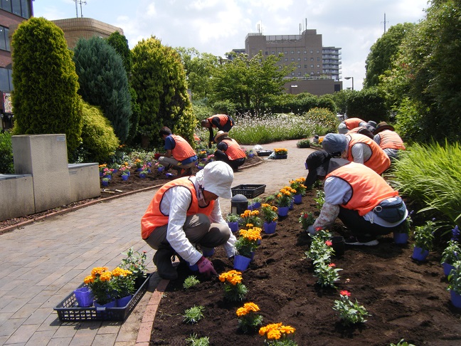 ステイションガーデン植栽