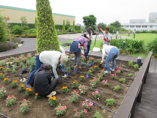 天空の散歩道植栽活動