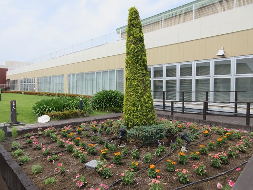 天空の散歩道植栽活動