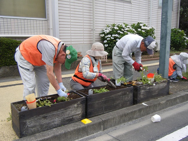 駅通りプランターに植栽活動を行いました。