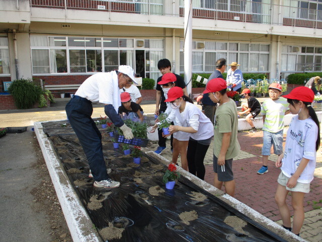 八基小学校