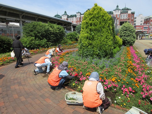 ステイションガーデン除草活動