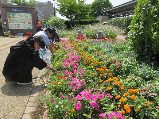 ステイションガーデン除草活動