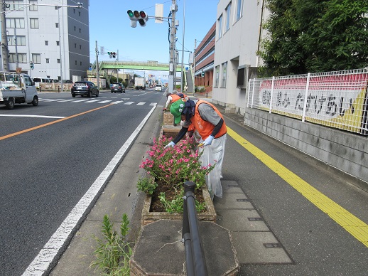 国道17号プランター活動