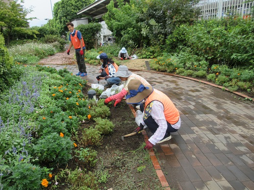 ステイションガーデン除草活動