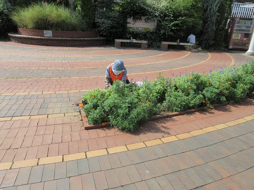 ステイションガーデン除草活動
