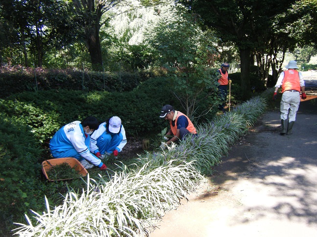 王国通りの除草