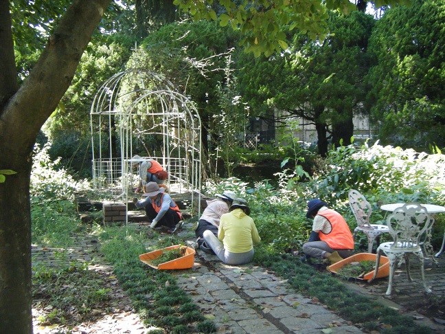 サンクンガーデンの除草